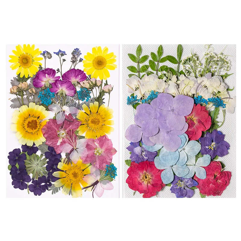 

Natural Plant Specimens, Colorful Flower Materials, Dried Flower Packs, Pressed Plant Specimens, DIY Resin Pressed Flowers, Pressed Flower Stickers, Flower Petals, Eternal Flowers, Pressed Flowers