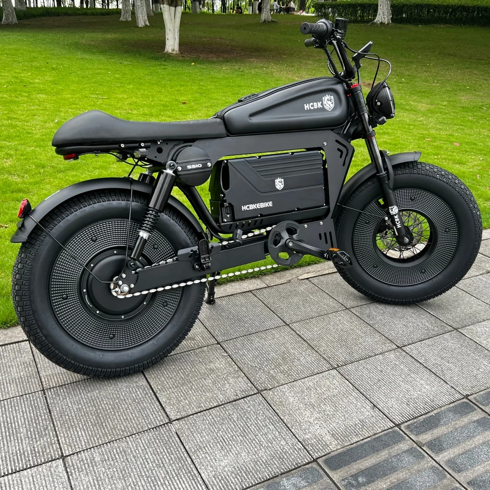 2025 New  SS10 Warrior Electric Bike  20 Inch Fat Tyre Electric Bike Mountain Snow City Electric Bike image 4
