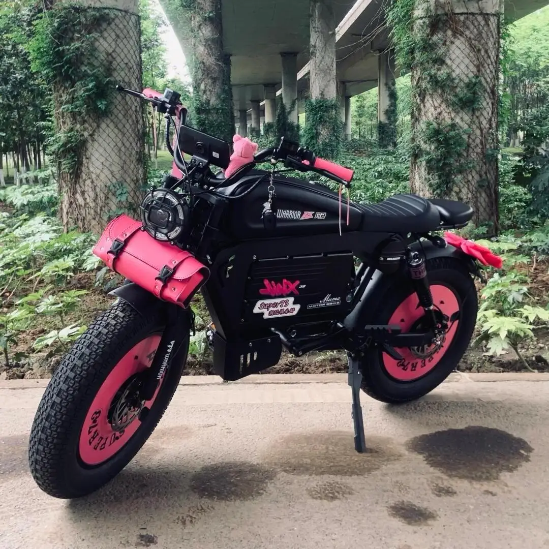 

STLF Fashion High Quality LED Screen Nfc App Remote Control Sports off Road Electrical System Ebike Electric Bike