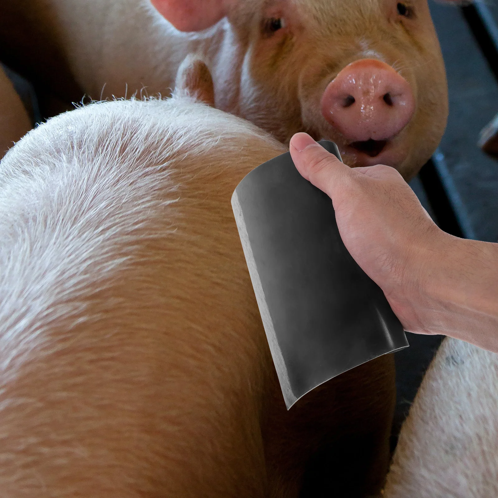 

Steel Pig Hair Remover Heavy Duty Shaving Tool for Household and Restaurant Kitchen Efficient Hair Plucking Scraper Multi