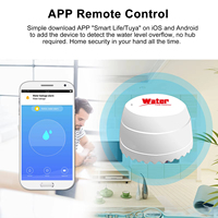 Tuya Wifi Water Detector Leakage Sensor Alarm Leak Detector Tuya smart Smart Life APP Flood Alert Overflow Smart Life Home Alarm