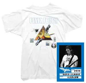 Pink Floyd Album T-shirt Dave Gilmour Women Men Oversized T-Shirts Streetwear Cotton Tee Shirt Crew Neck Female Male Clothing