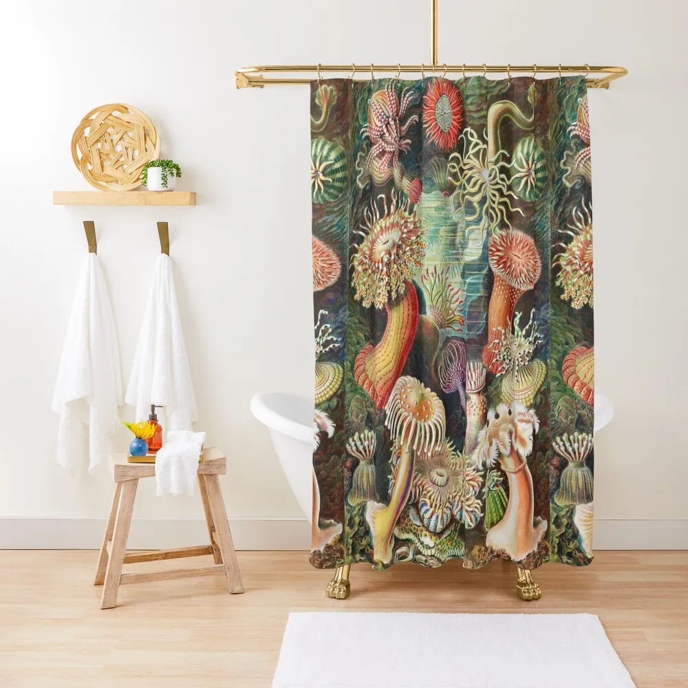 

Artforms in Nature - Actiniae Seeanemonen by Ernst Haeckel Shower Curtain Set For Bathroom Luxury Bathroom Curtain