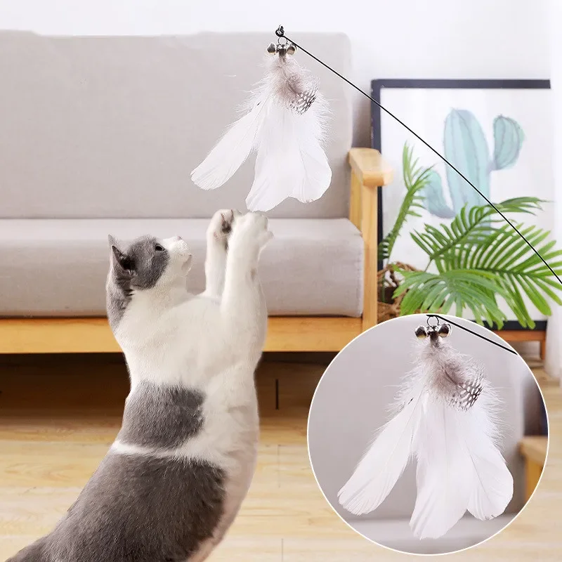 

Cat Toy Funny Cat Toys Interactive Self Hi Feather Toys for Cats Tease Bite Resistant Cats Toy with Sucker Stick Pet Supplies