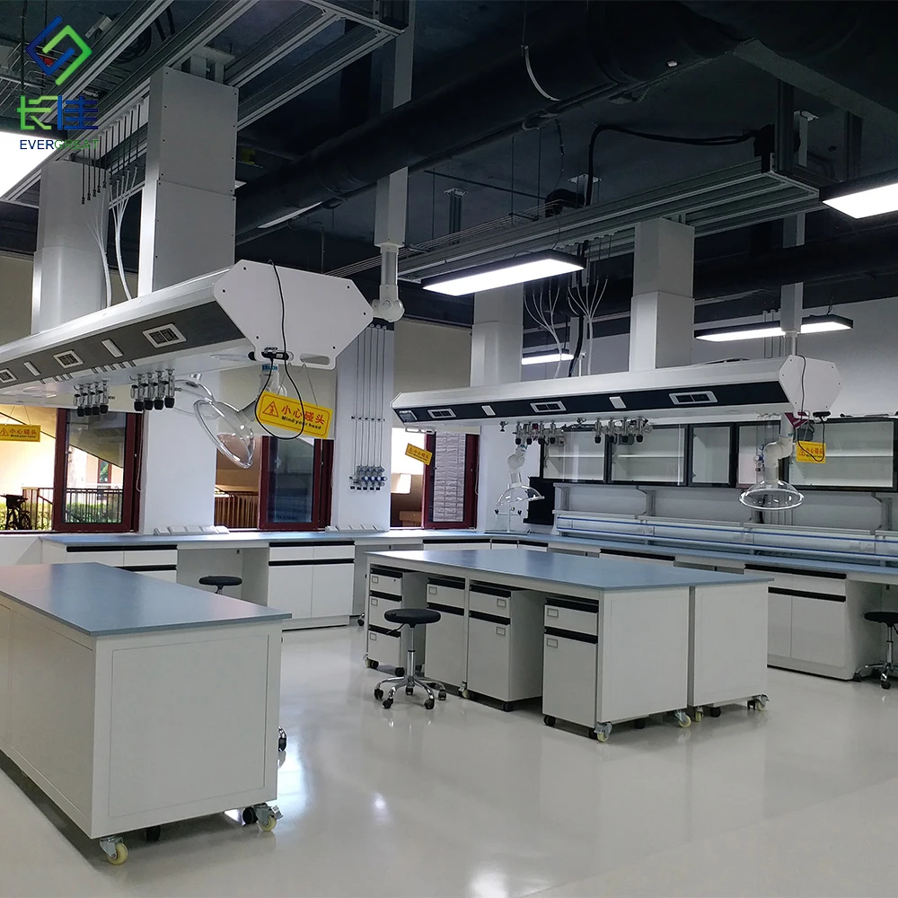 Professional Custom Modern Metal Scientific Bench for School Lab Hospital & Chemical Factory Use-EVERGREAT LAB-11