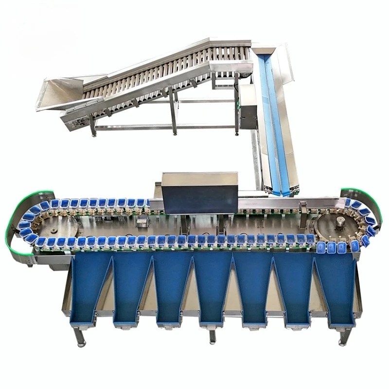 Fruit Vegetable Weight Grading Machine  Custom 3-18 Grades Easy to Operate 160-280pcs/min