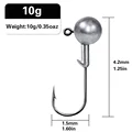 10.0g-10PCS
