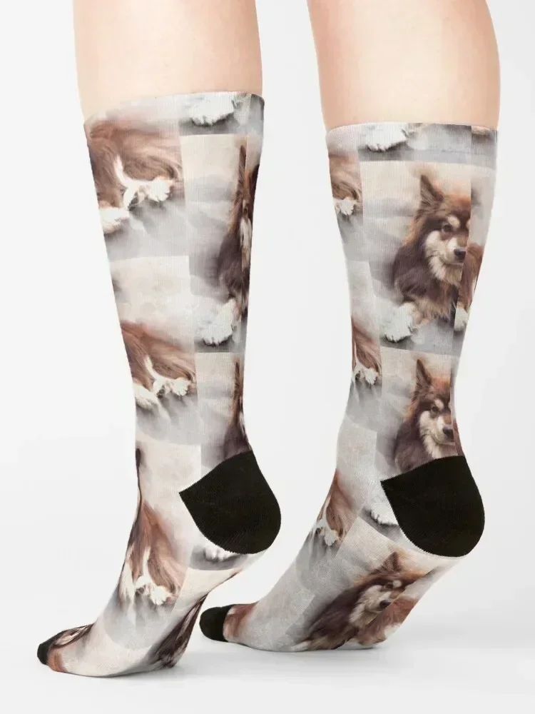 Finns from Lapland Socks Heating sock Wholesale shoes kids Men Socks Women's