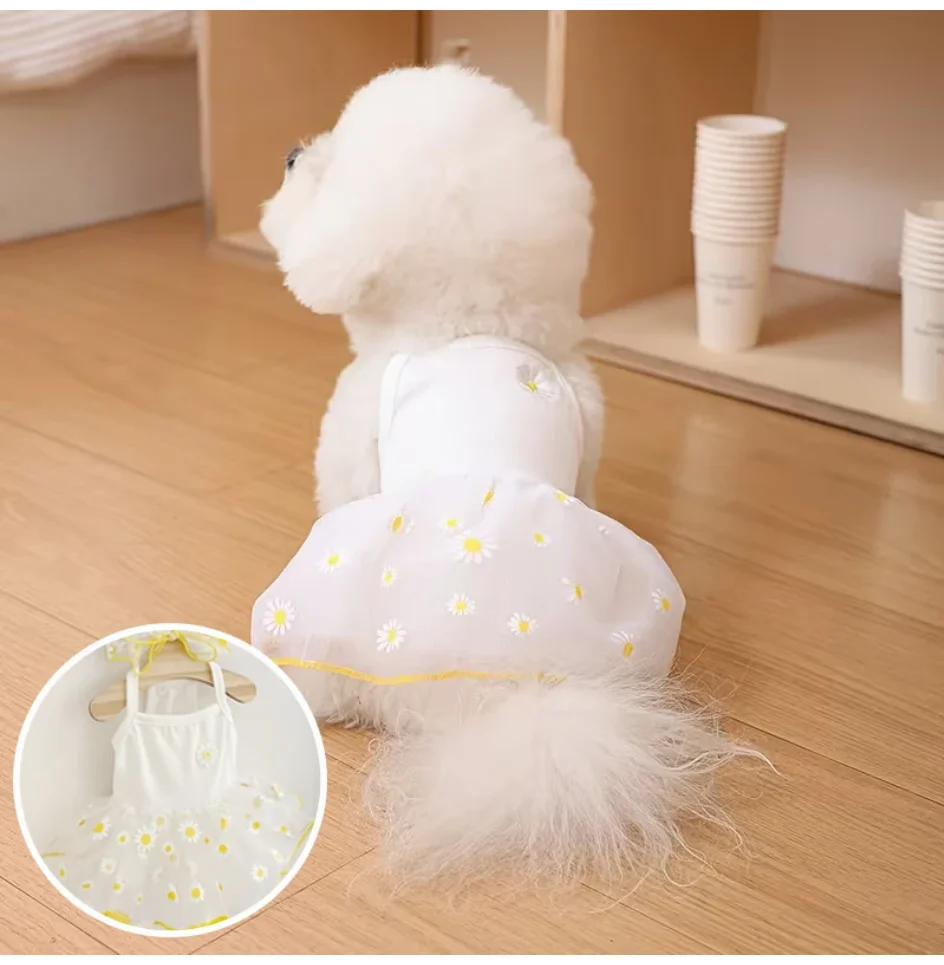 夏用薄手子犬用プリンセススカート、可愛いペット用犬服、小型犬 - Pet Supplies York のレビューと価格
