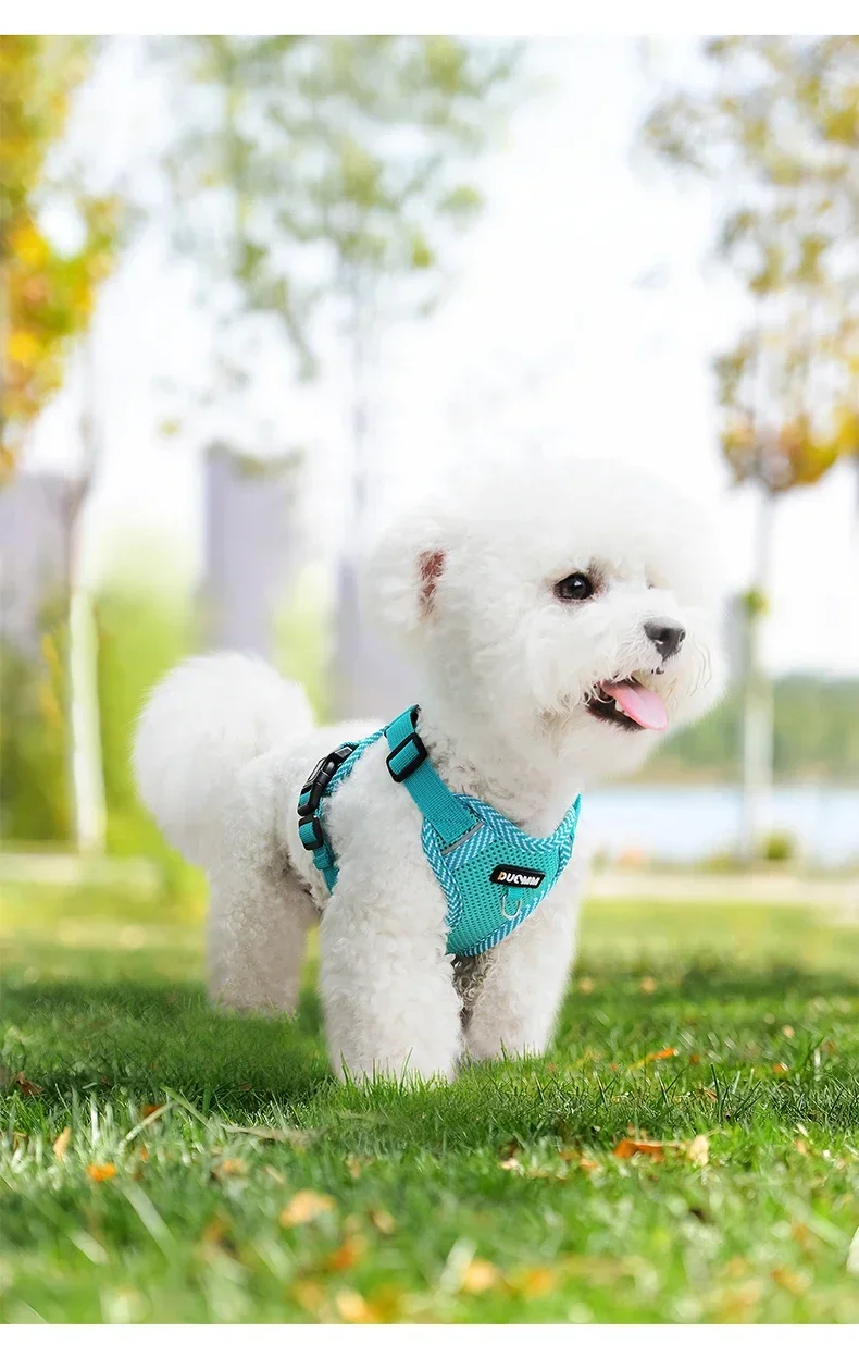 New Dog Chest Strap Dopamine Pet Chest Strap Reflective and Breathable Pet Traction Rope Pet Supplies