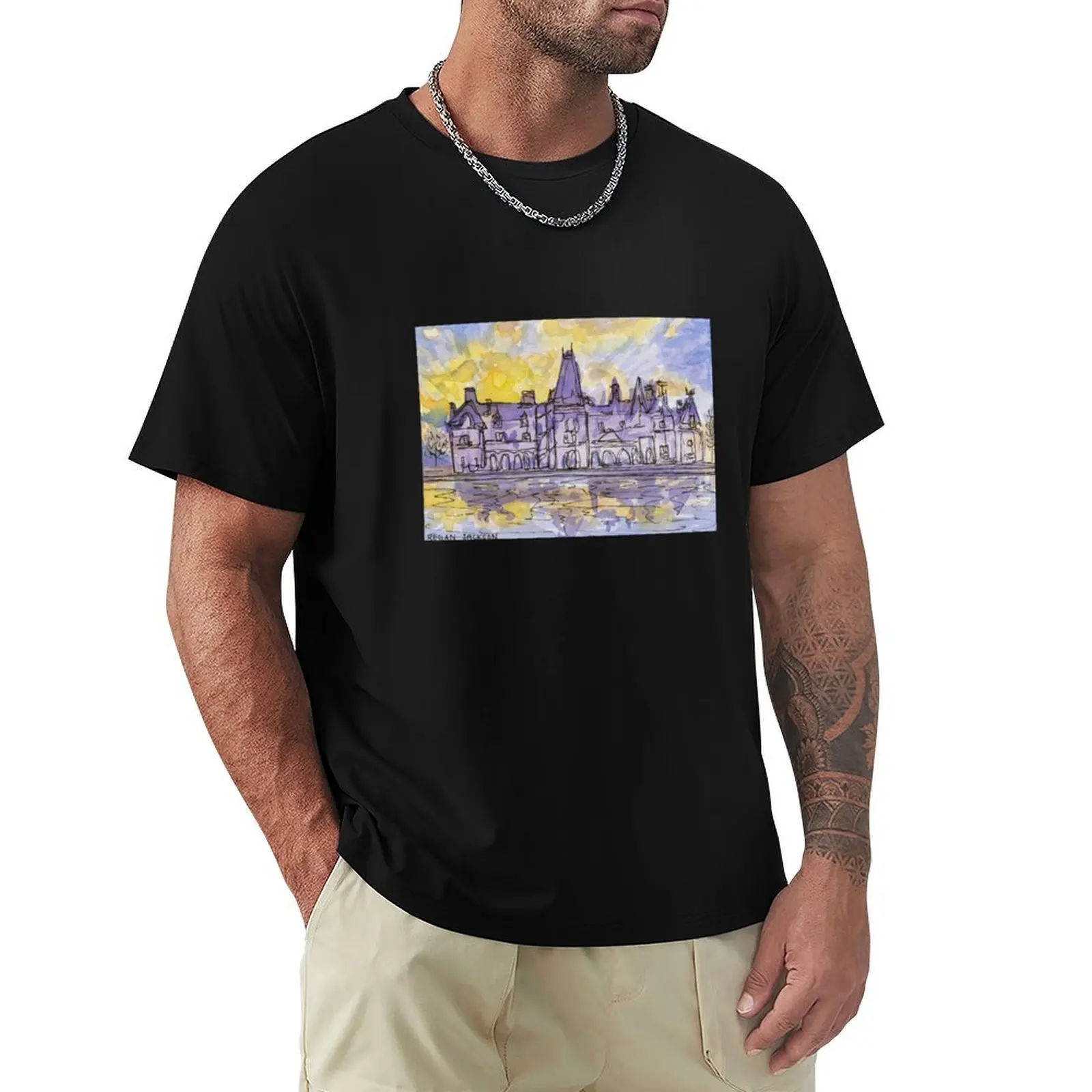 

Biltmore T-Shirt cheap stuff shirts graphic luxury designer Clothing T-shirt men