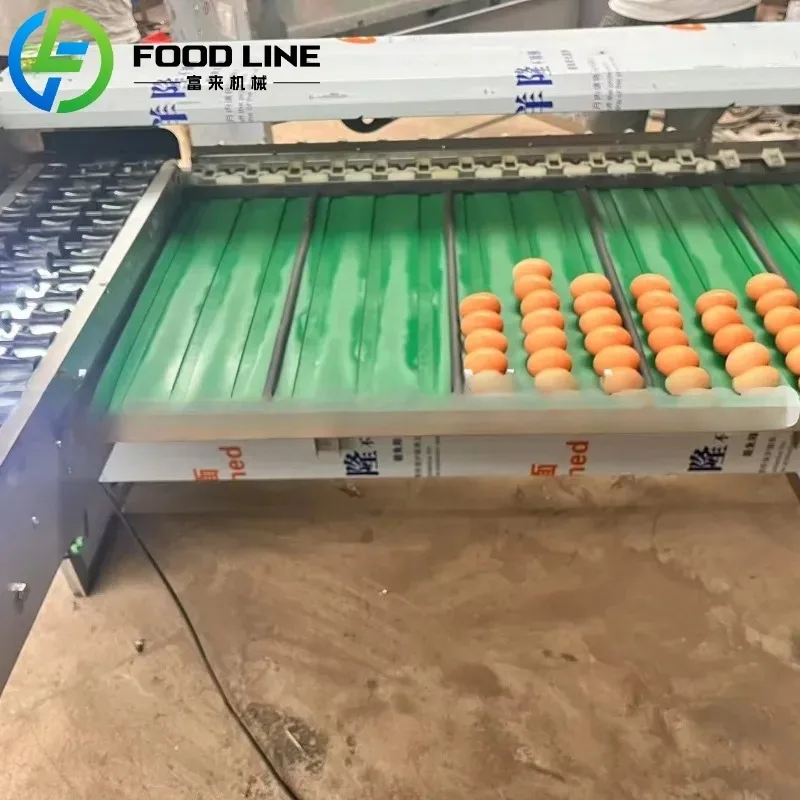 آلة تصنيف البيض الأوتوماتيكية، فارز الوزن والحجم التجاري لمزرعة الدواجن وأعمال تعبئة البيض