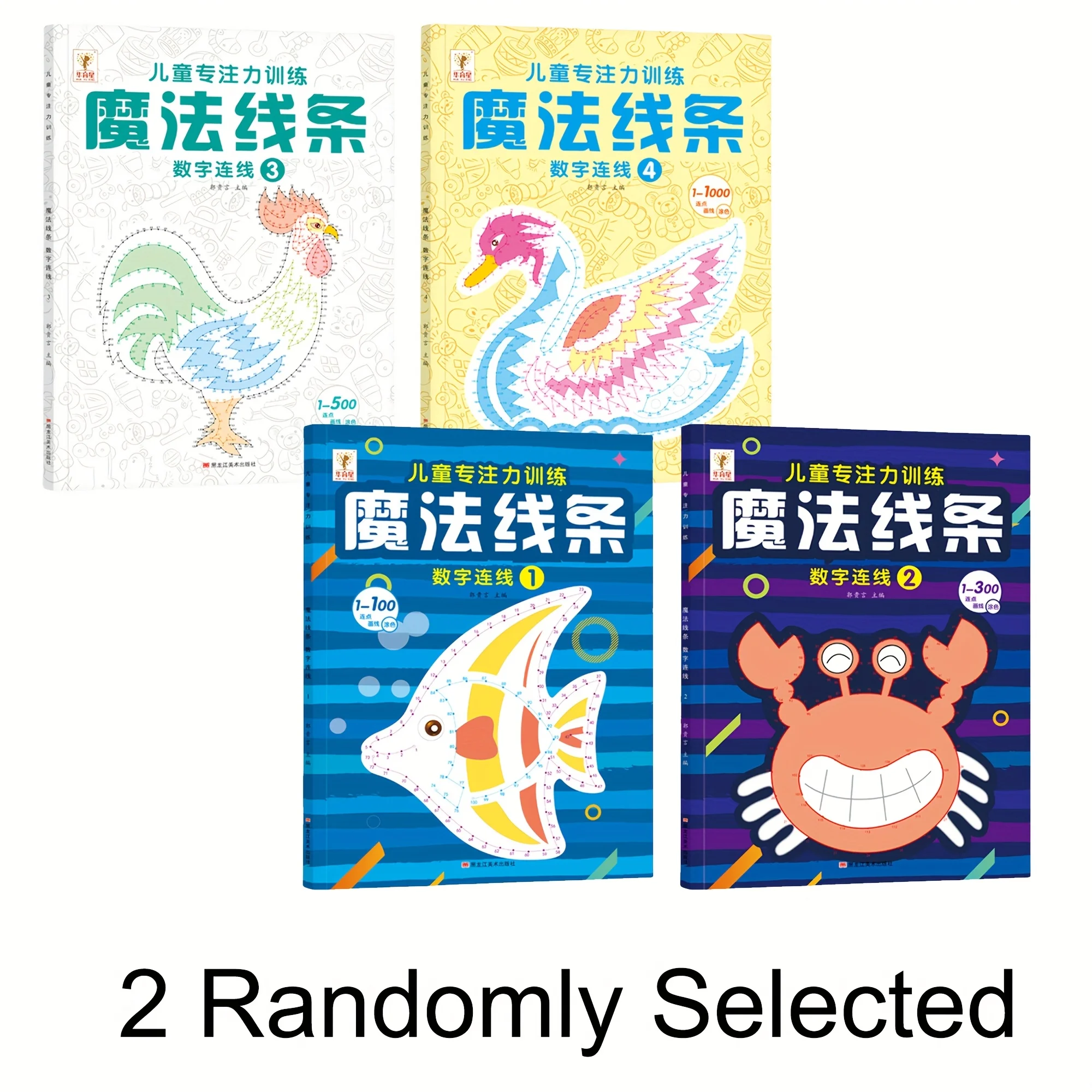 

2pcs Magic Lines Magic Maze Digital Connection Picture Book - 54 pages per book