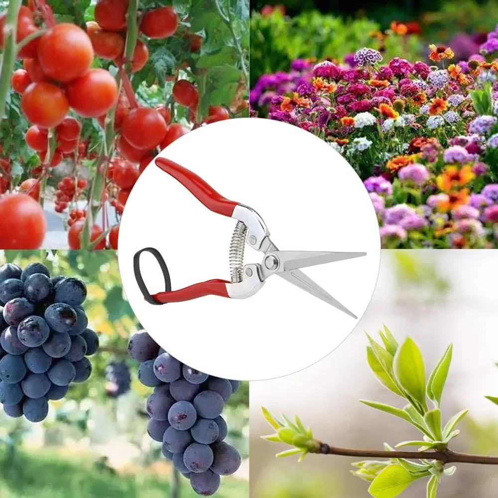 Gardening Hand Pruner Garden Scissors Pruning Shears Micro-Tip Pruning Snips Plant Leaf Trimmer Straight Florist Scissor