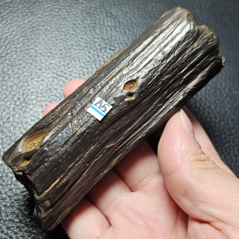 

Natural Gobi Desert wood mineral specimens for home decoration