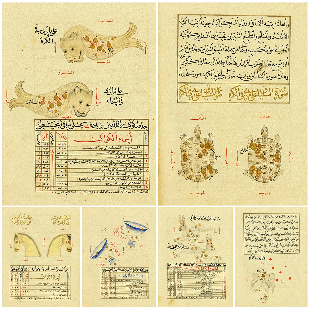 

Ancient Constellation Knowledge Illustration,Vintage Wall Art Canvas Painting,The Universe And Star Abstract Art Poster Print