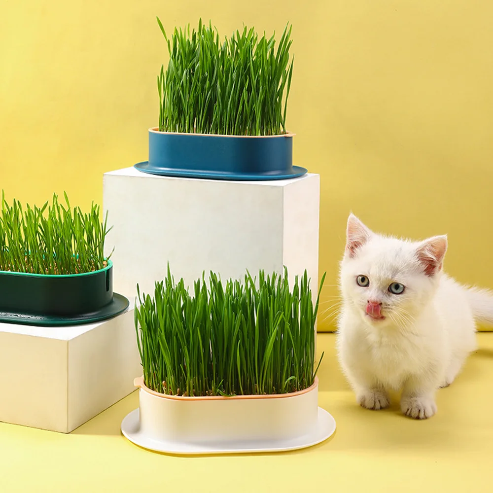 

Pet Cat Sprout Dish Growing Pot Hydroponic Plant Cat Grass Germination Digestion Starter Dish Soilless Plant Grow Box