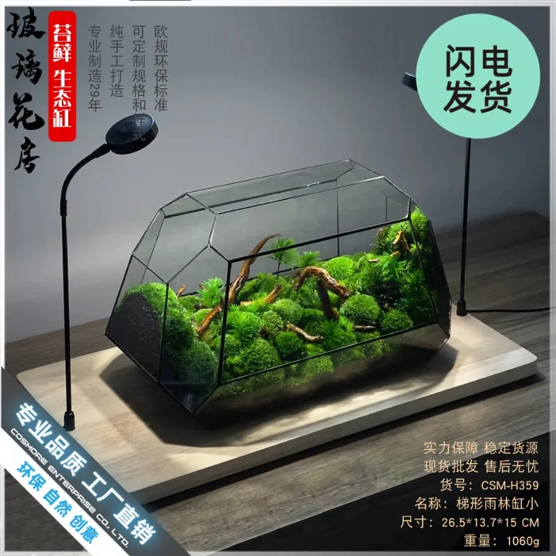moss-micro-landscape-ecological-tank-rainforest-landscaping-glass-cover-ecological-bottle-box-home-decoration
