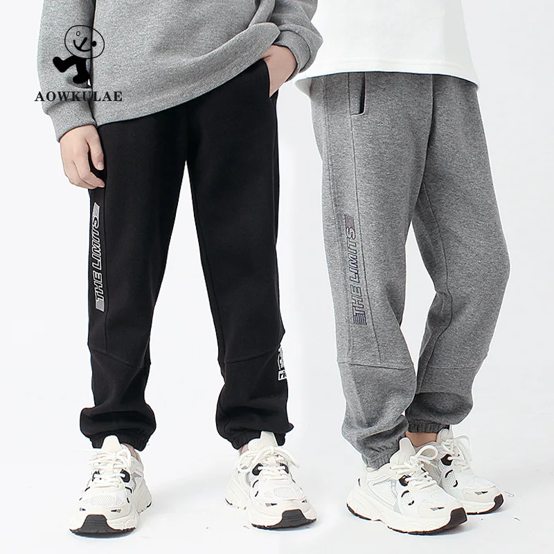 

Одежда для мальчиков-подростков, осенние детские свободные спортивные штаны, серые, бежевые брюки с эластичной резинкой на талии, хлопковые детские длинные спортивные штаны для детей 4, 8, 12 лет