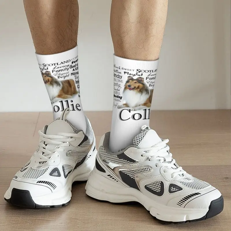 Kühlen Druck Haustier Collie Hund Eigenschaften Socken für Frauen Männer Stretch Sommer Herbst Winter Tier Crew Socken