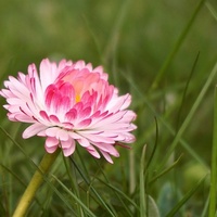 7238 Low Noise Props 7238F Propellers For DJI Mavic AIR 2S Drone Accessories