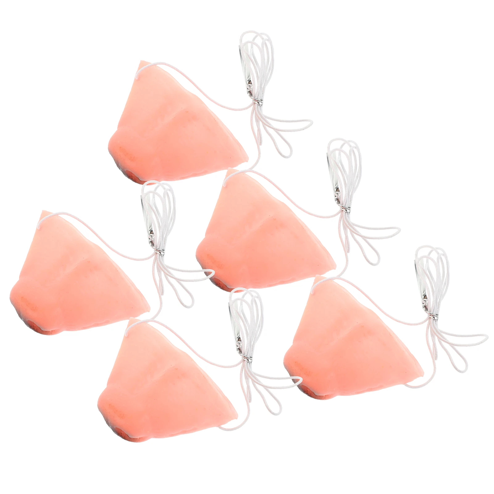 

5 Pcs Dog Nose Props for Party Dress up Dogs Puppy Simulation Cosplay Supplies Aldult