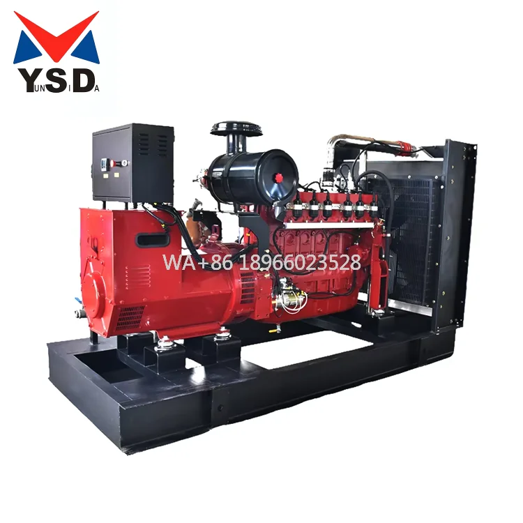 

Hot Selling Open Type Corrosion Resistance 220KW High-Power Fast Burning Natural Gas Generator at Low Prices
