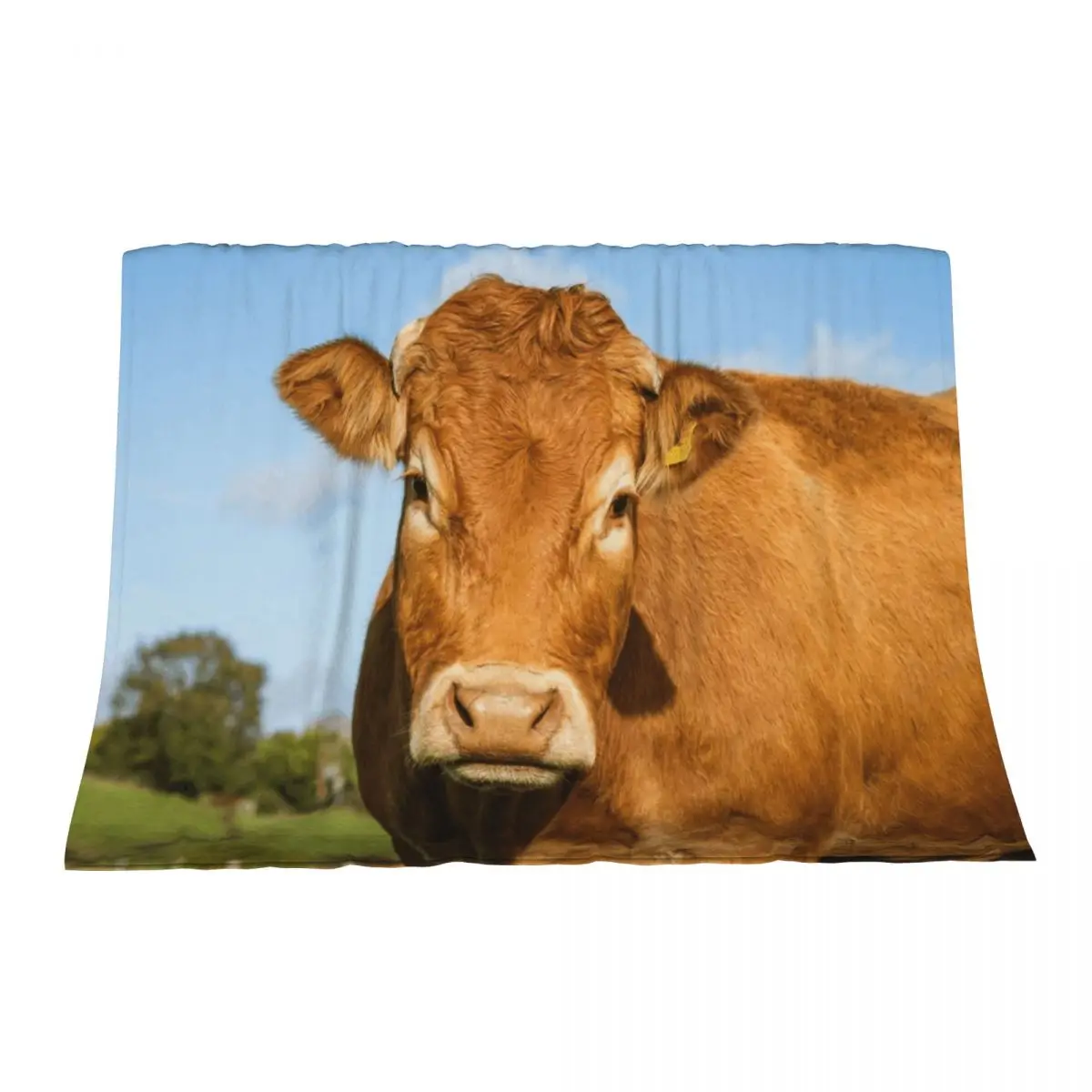 

Limousin Cow Throw Blanket Shaggy Sofa Quilt Blankets For Baby Flannel Blankets