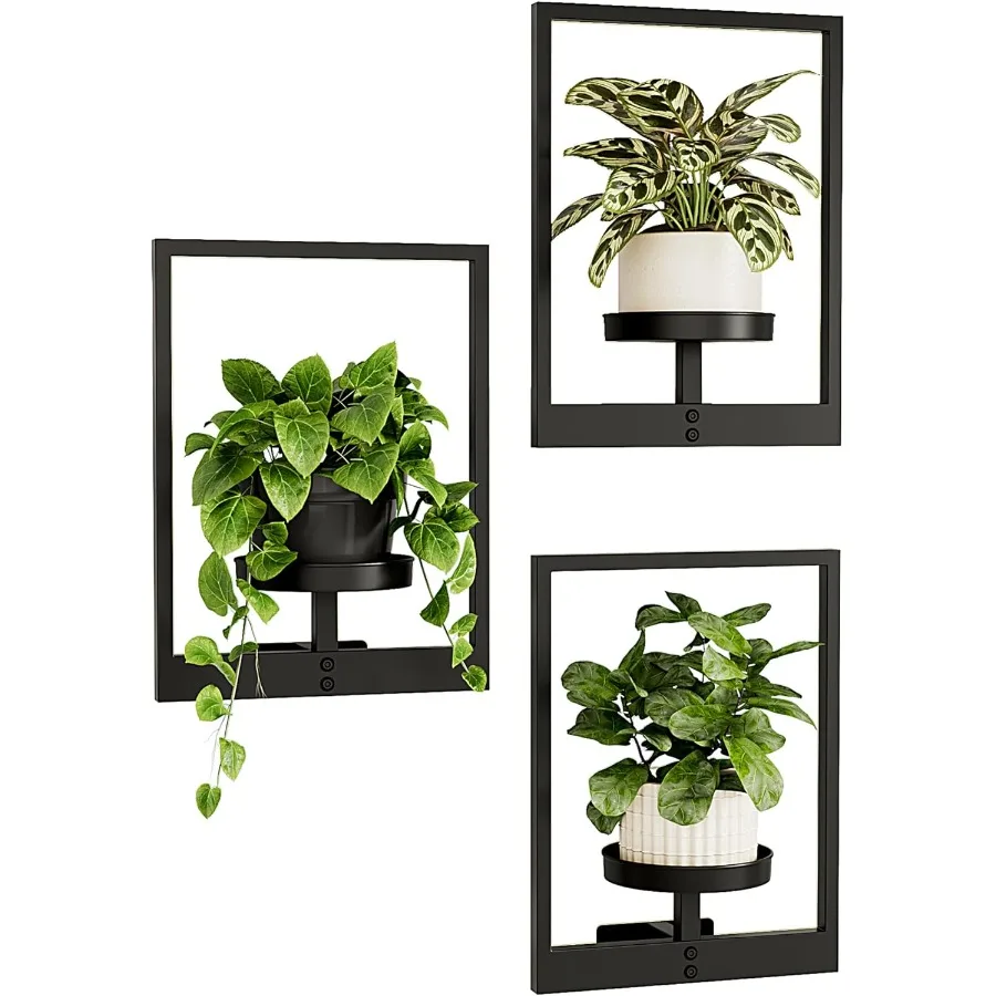 

Hanging Planters for Indoor Plants Wall Decor Living Room Plant Stand Indoor Wall Planters Plant Hanger Window Plant Shelves 3