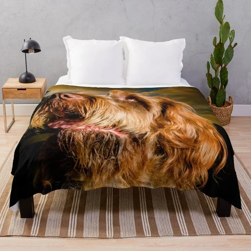 

Star light, star bright Spinone Throw Blanket Warm Napping Blanket for Office Couch Bed