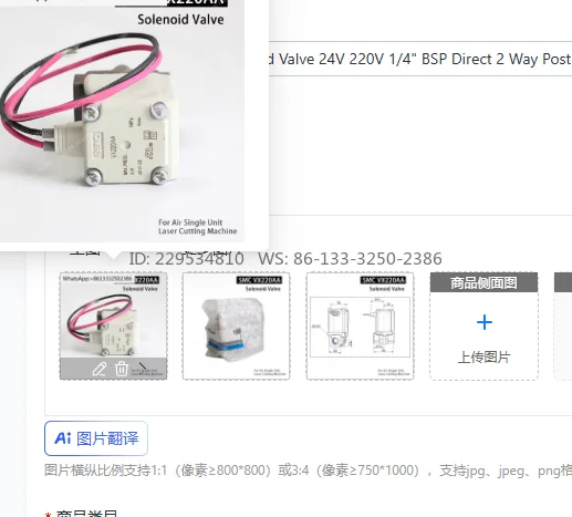 VX220AA Solenoid Valve 24V 220V 1/4