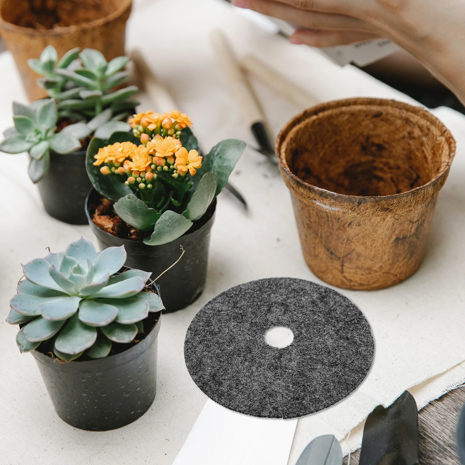 

20pcs Black Non-woven Grass Mat Fabric Adjustable Barrier Landscape Plant Protector for Garden Ruderal Control
