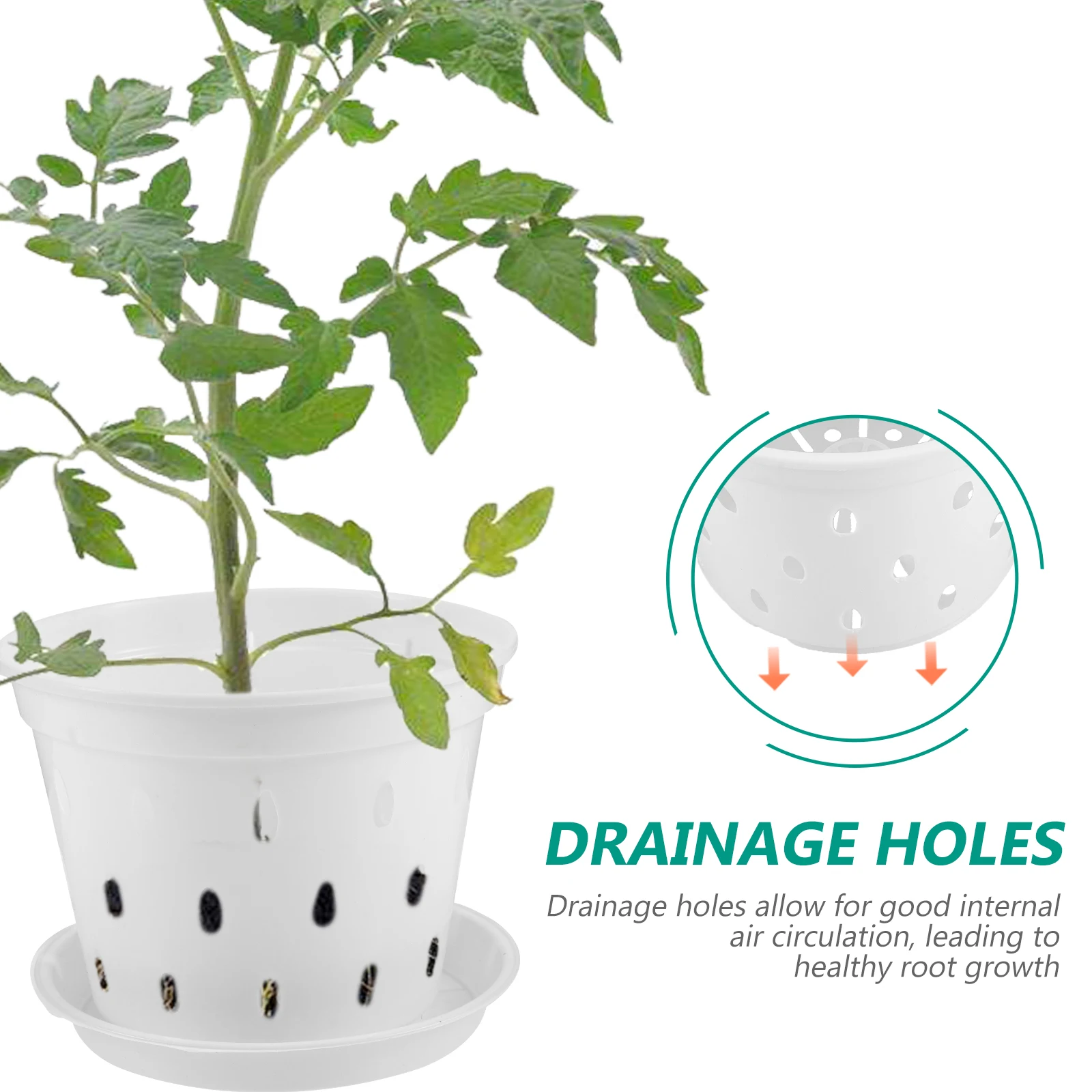 

5Sets Clear Plastic Orchid Pots Breathable Drainage Hole Planters Small Plant Pots for Garden Indoor Outdoor Orchid Pot
