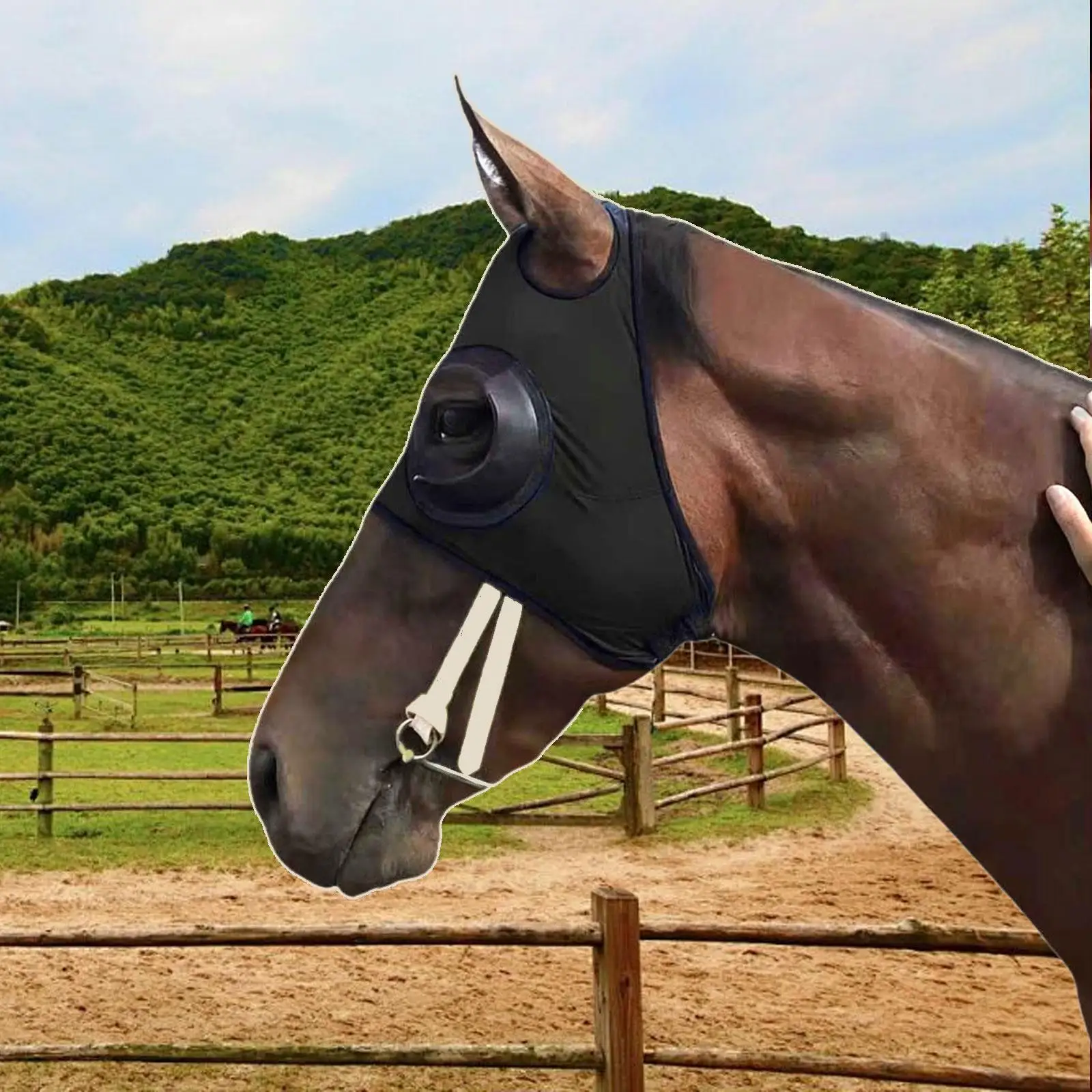 نظارات ركوب الخيل، قابلة للتنفس تقلل من التدخل البصري، قناع ذبابة خفيف الوزن لحماية عين الحصان