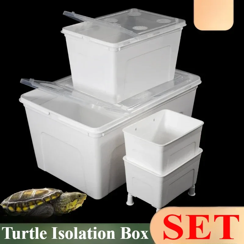 Turtle Breeding Box PVC Turtles Seedling Isolation Boxes Fish Tank Peacock Fish Hatching Box Multifunctional Feeding Tanks