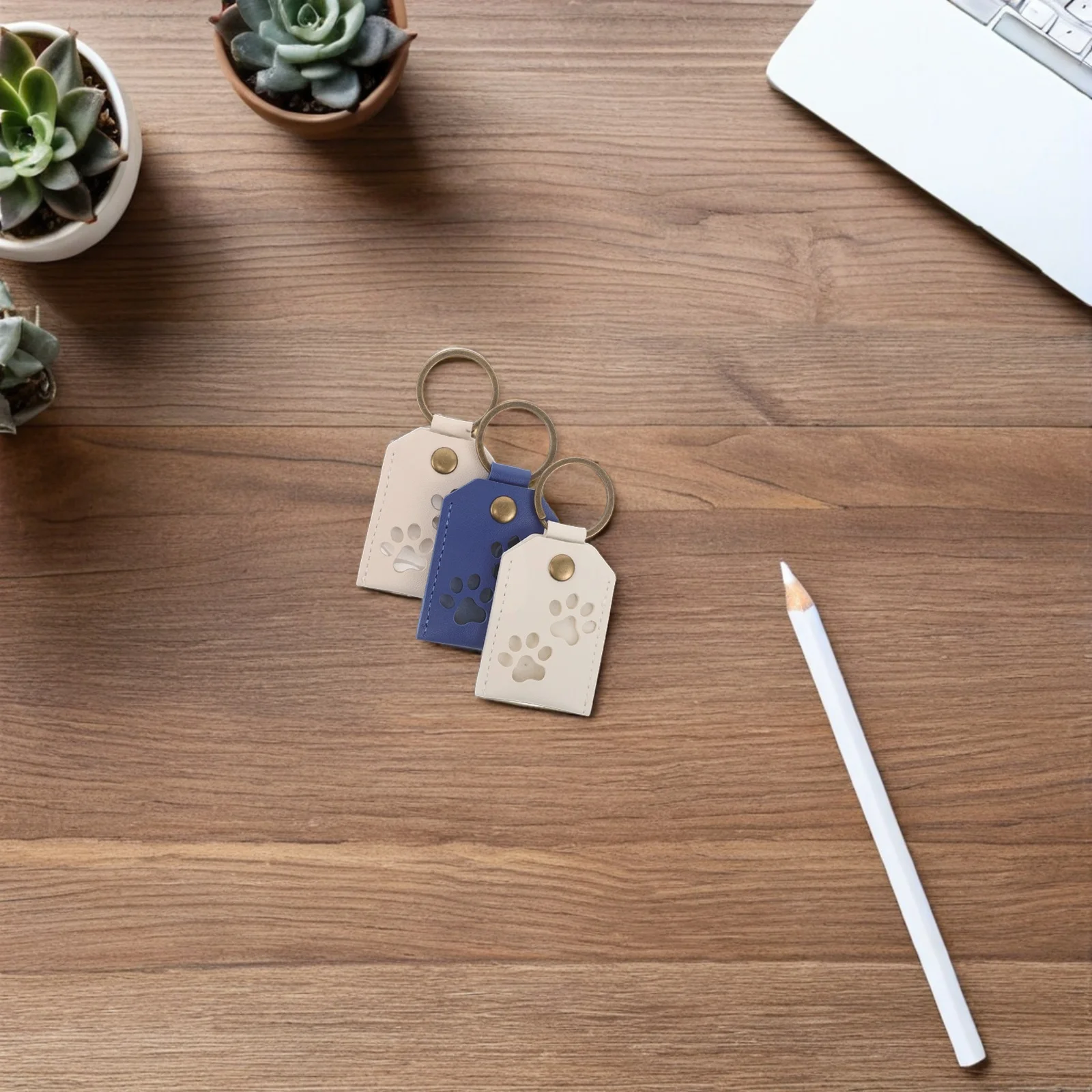 

3Pcs Pet Memorial Keyring Transparent Dog Cat Hair Storage Keepsake Portable Memory Holder for Pet Hair Souvenir