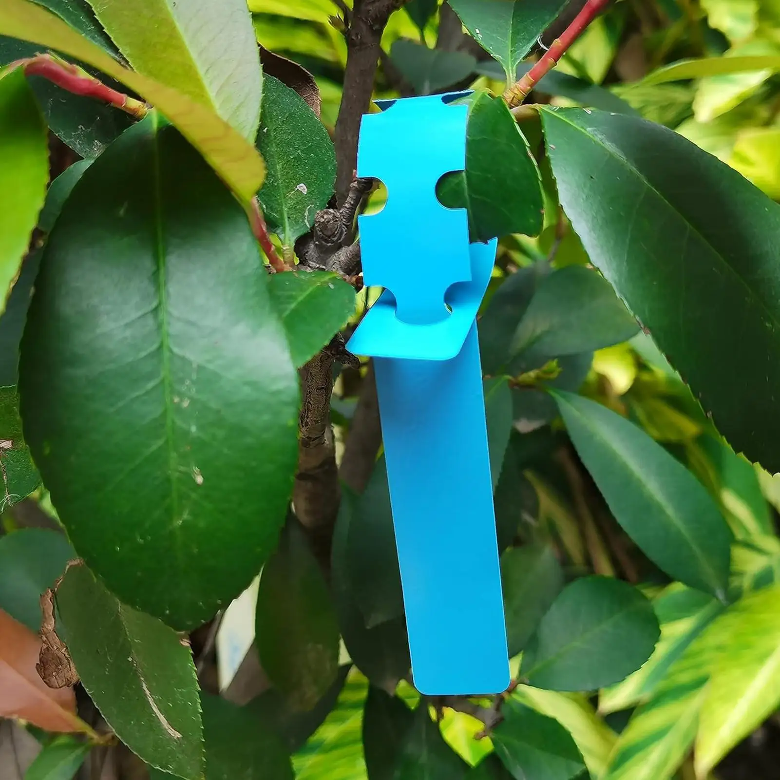 Garden Plant Labels 100 Pieces Waterproof PVC Wrap Around Tree Markers Signs Nursery Labels for Yard Farm Patio Lawn Grassland