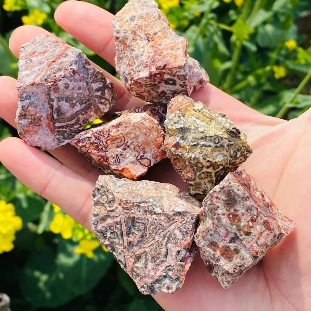 Natural Leopard Skin Jasper Raw Stone Quartz Mineral Specimen, Spiritual Healing Crystal for Meditation, Witchcraft