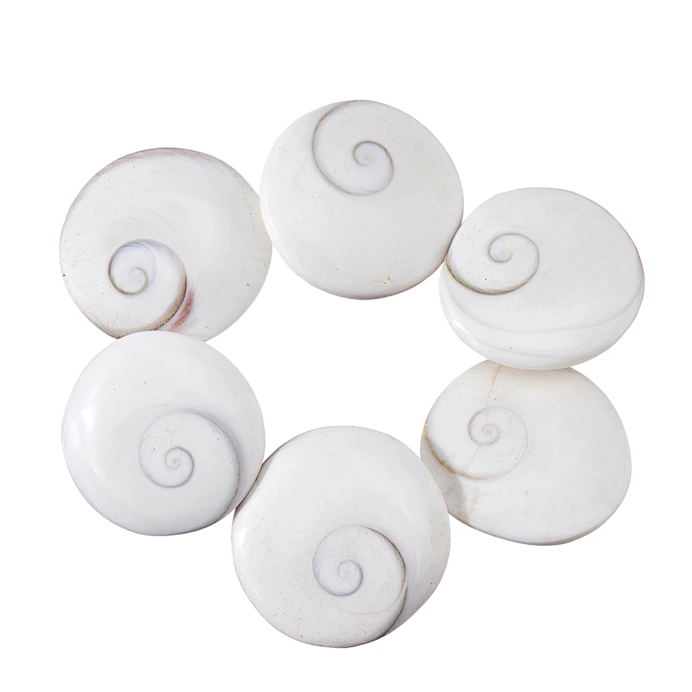 

6Pcs Shiva Eye Shell Cabochons Flat Round Camel 39~39.5x38~39x12~12.5mm