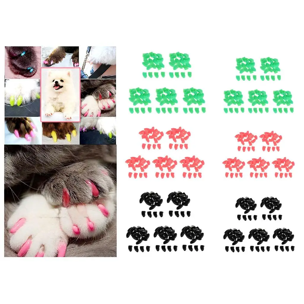 Puppy Grooming Tool…