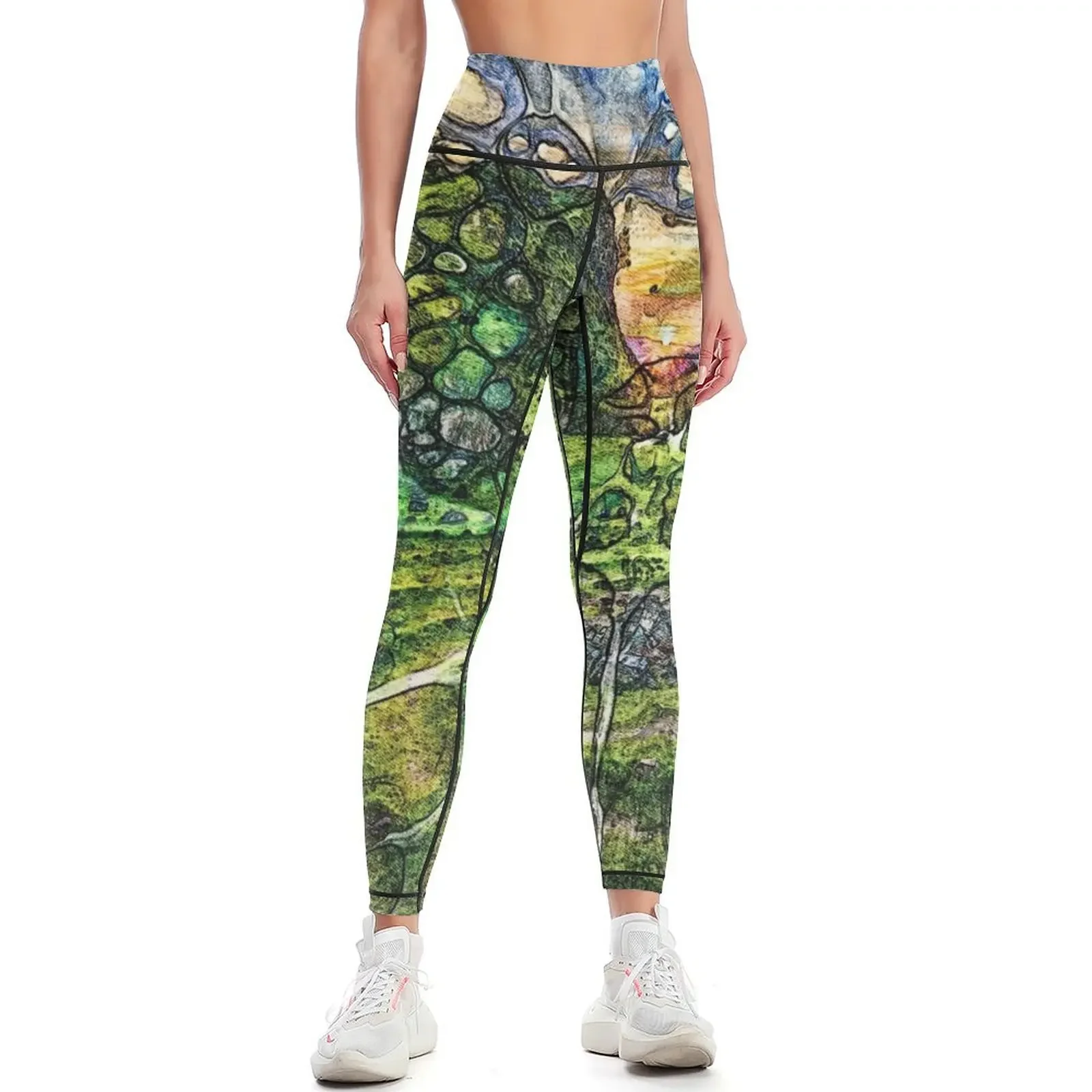 

The Atlas of Dreams - Color Plate 237 Leggings legging push up flared Female legging pants Jogger pants Womens Leggings