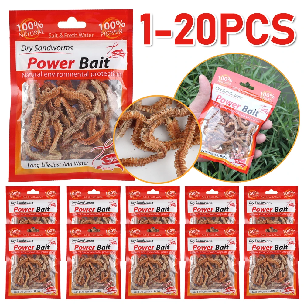 Dry Sandworms Fishing Lures Bait Saltwater Freshwater Feeder For Sea Carp Fish Artificial Bait Accessories All For Fishing - Image 2