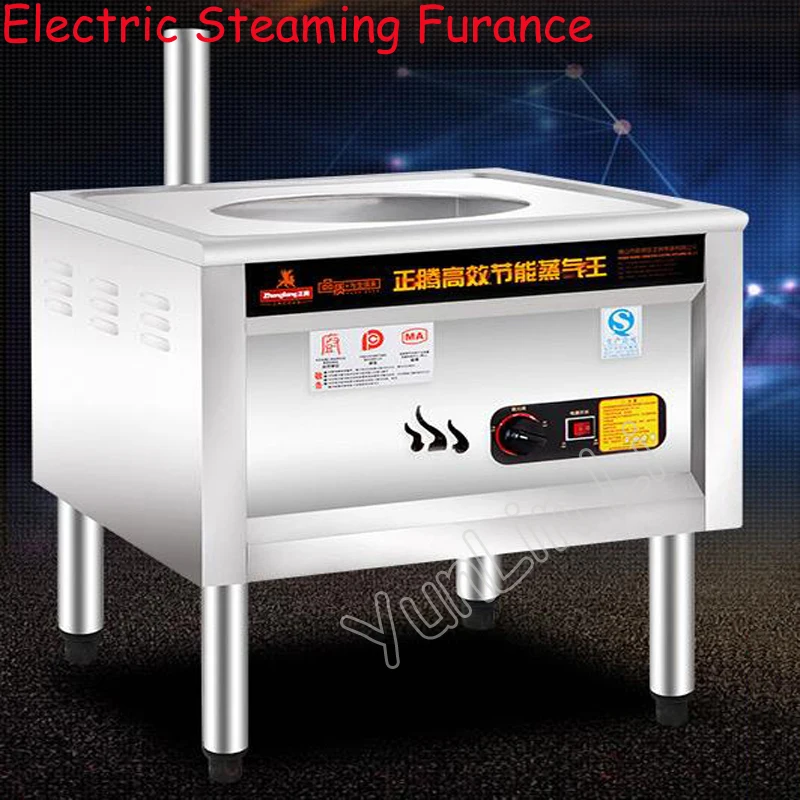 Vaporizador eléctrico de 220V, máquina de vapor eléctrica y de gas de acceso comercial, diseño antiseco