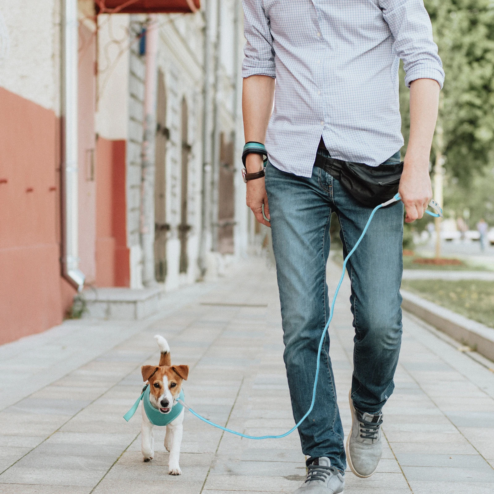 

Pet Leash Dog Rope Style Waist Small Adjustable Jogging Belt for Running Plastic Harness
