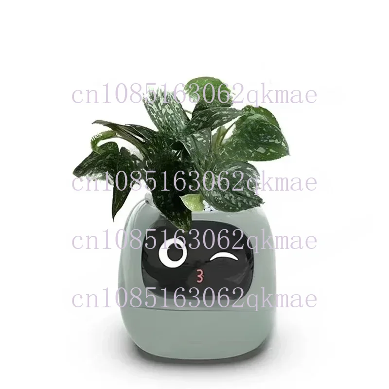 

New Smart and Cute Pet Pet Pot Ivy Table Top Green Plants Let Your Plants Express Emotions