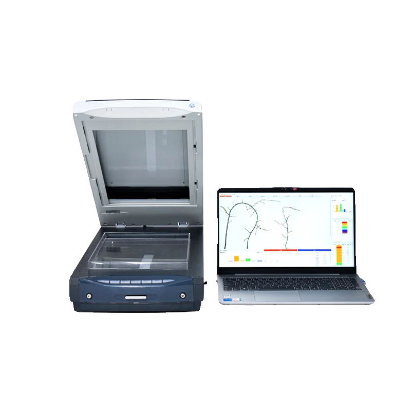 

Сканирование изображений кореня растений, наконечник корня, морфология, обнаружение количества, определение деревьев, портативный