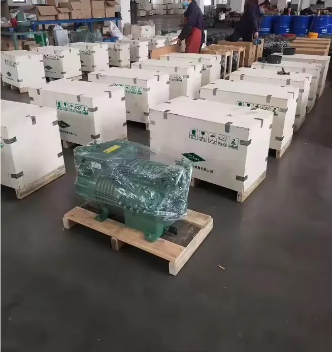 New BITZER Semi-enclosed 4G - 30.2-40 P 4GE-30Y-40 6G-30.2Y-40P Series Press 4HTC-20K-40P New Machine 6F-50.2Y-40P