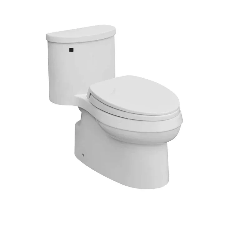 Modern China Water Closet One Piece S-trap Floor Mounted Toilet Bowl Bathroom Wc Toilets