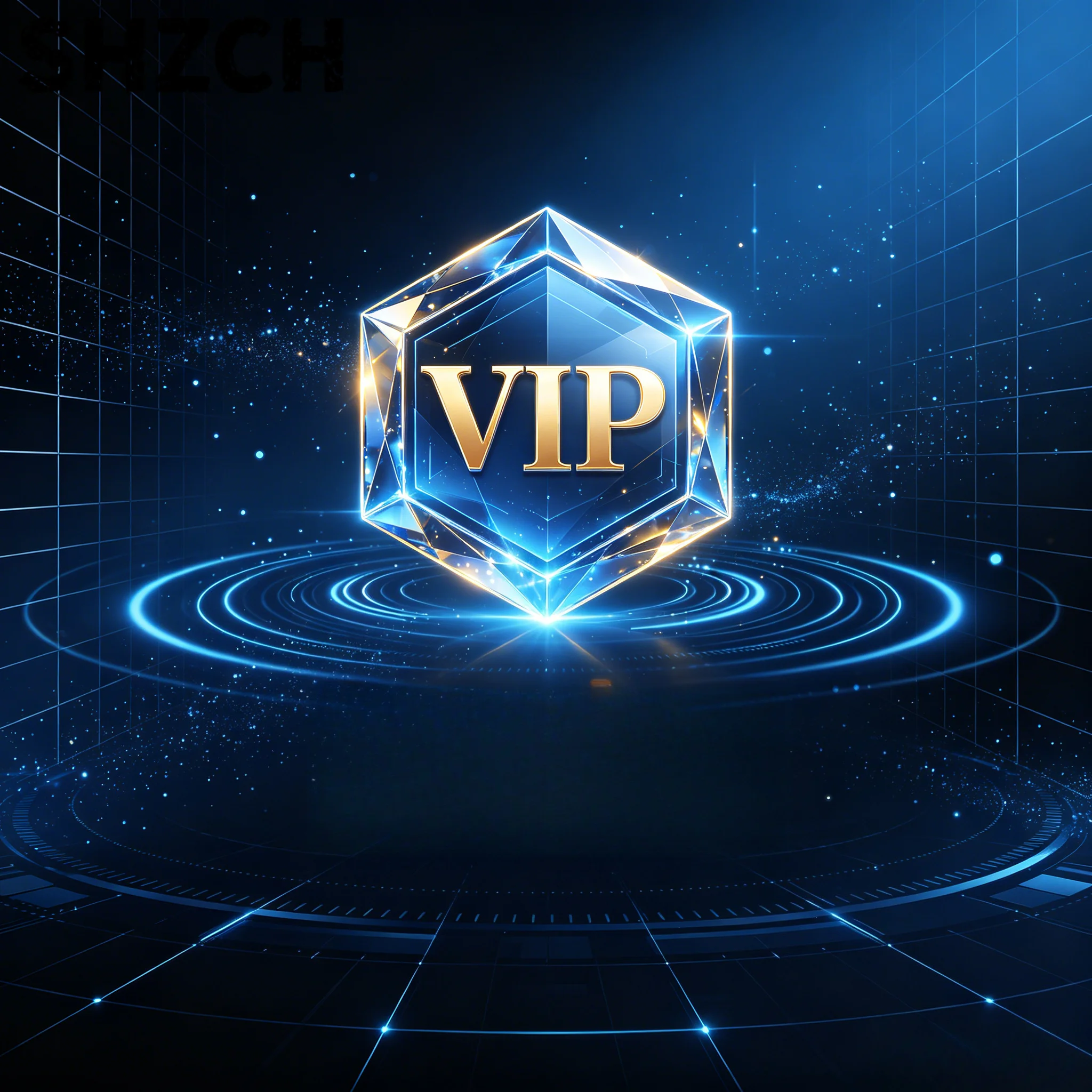 Exclusive Customized VIP Link for Customers Think of What You Want