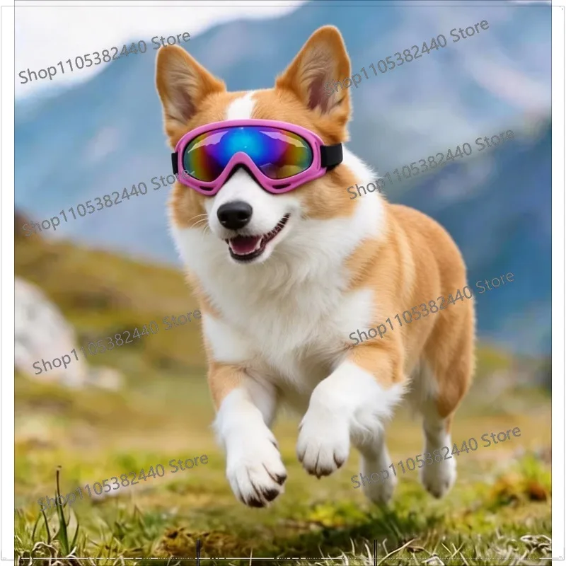 Dog goggles corgi teddy small medium and large dog outdoor windproof sand ultraviolet travel sunglasses pet glasses